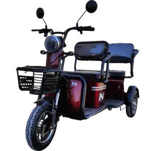 Трицикл Elwinn ES121